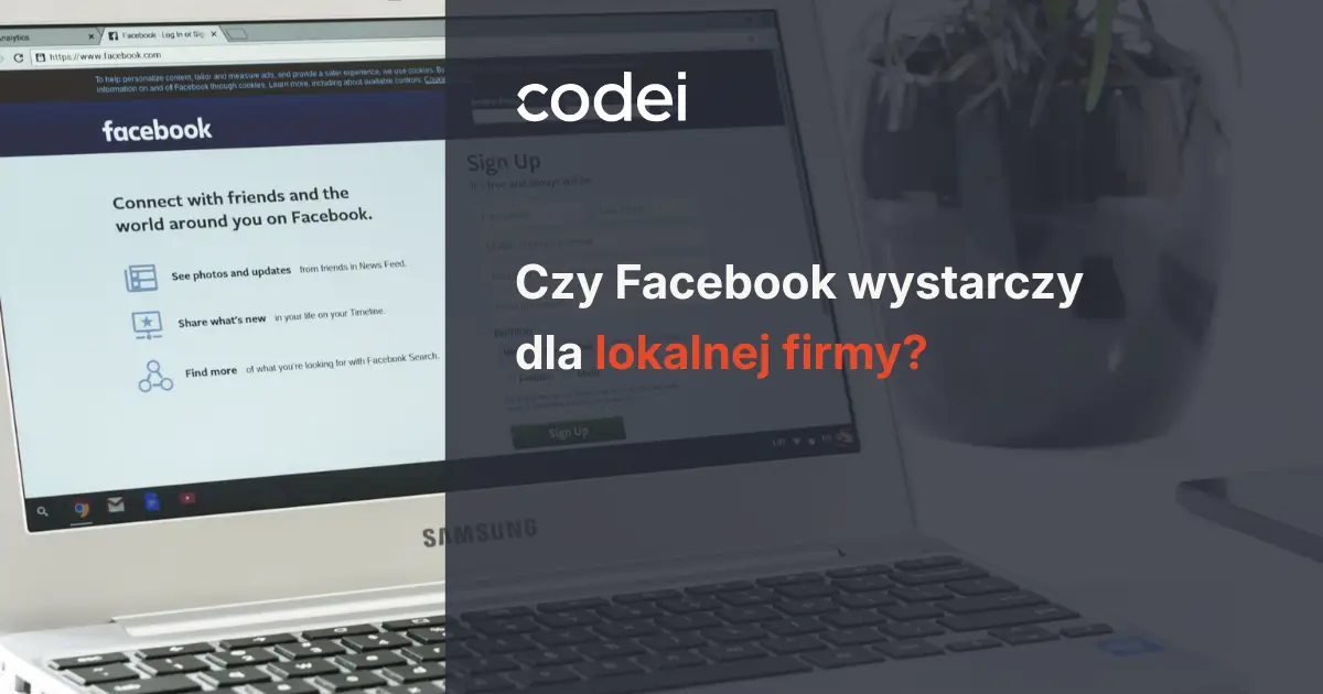 Czy Facebook wystarczy dla lokalnej firmy? | Strona internetowa czy social media